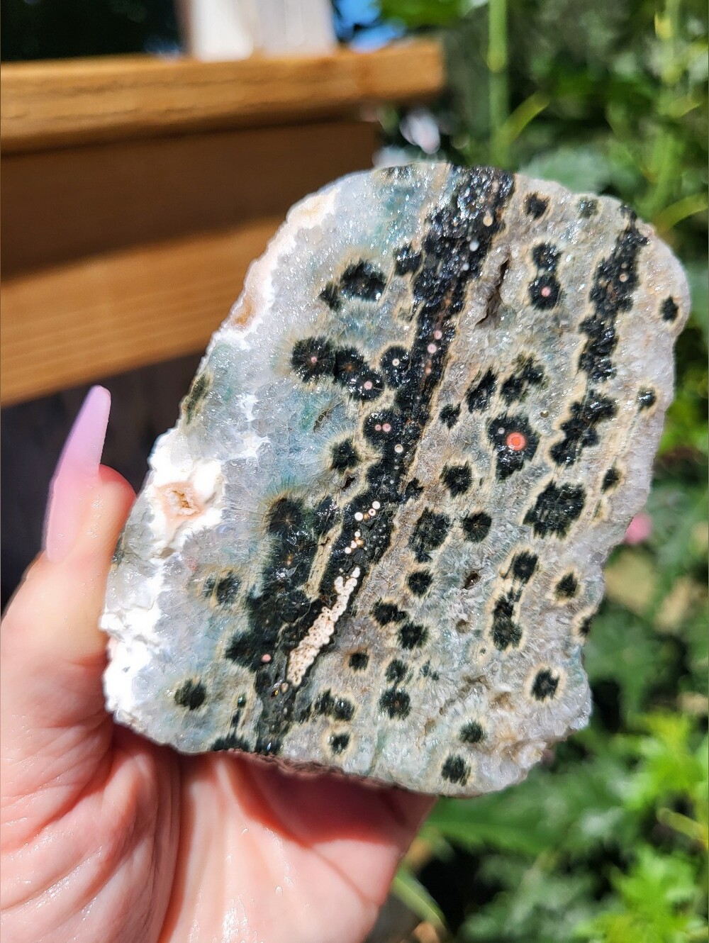 Rare Orbicular Ocean Jasper Sparkly Druzy Pink Orbes Lapidary